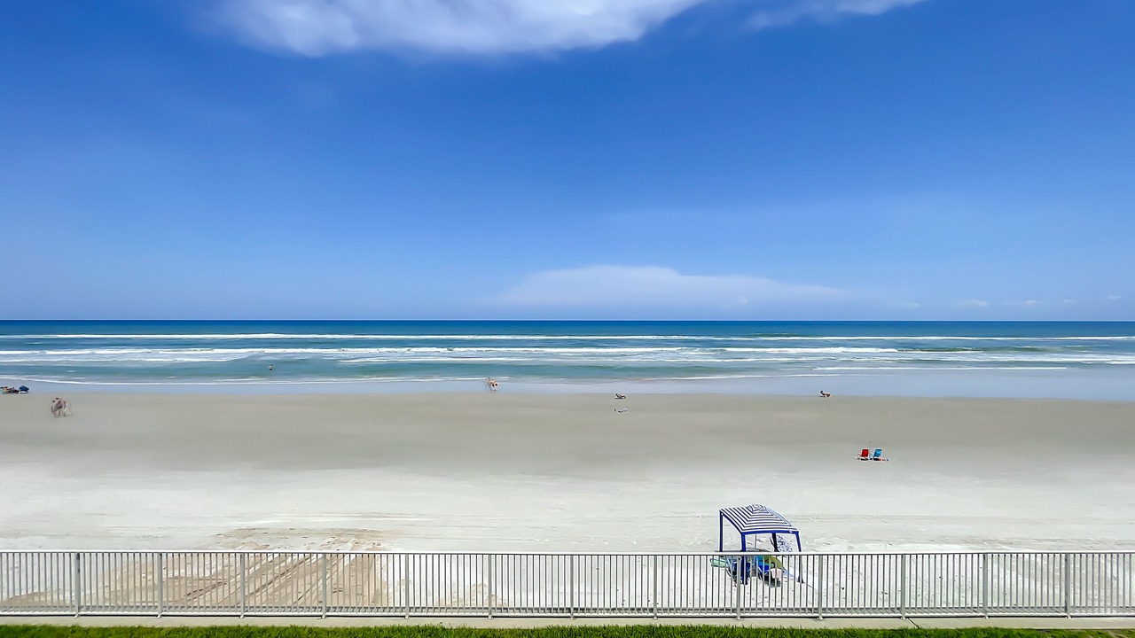 Photo of Others in New Smyrna Beach