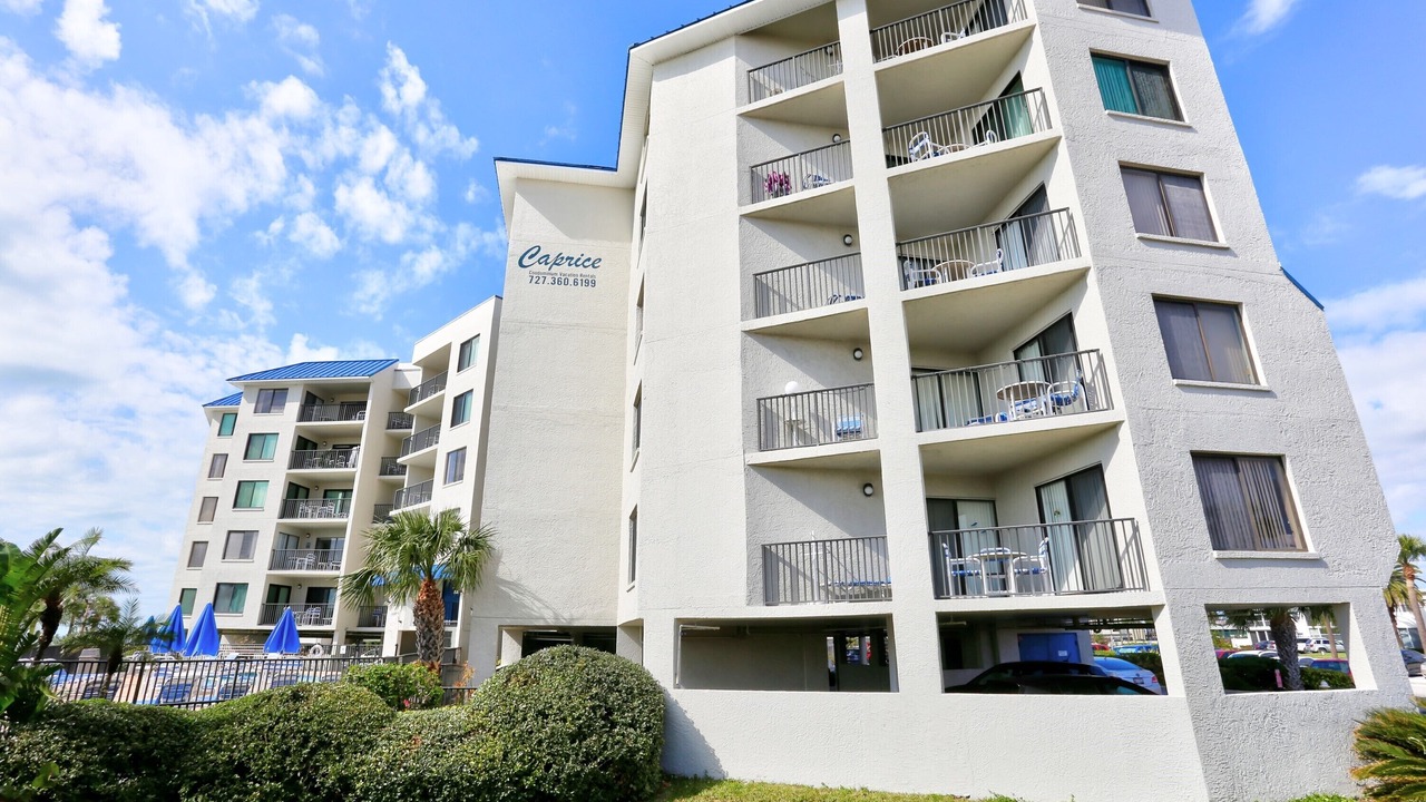 Photo of Outdoor in St. Petersburg - Clearwater