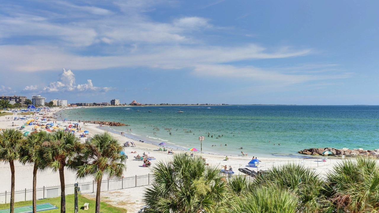 Photo of Others in St. Petersburg - Clearwater