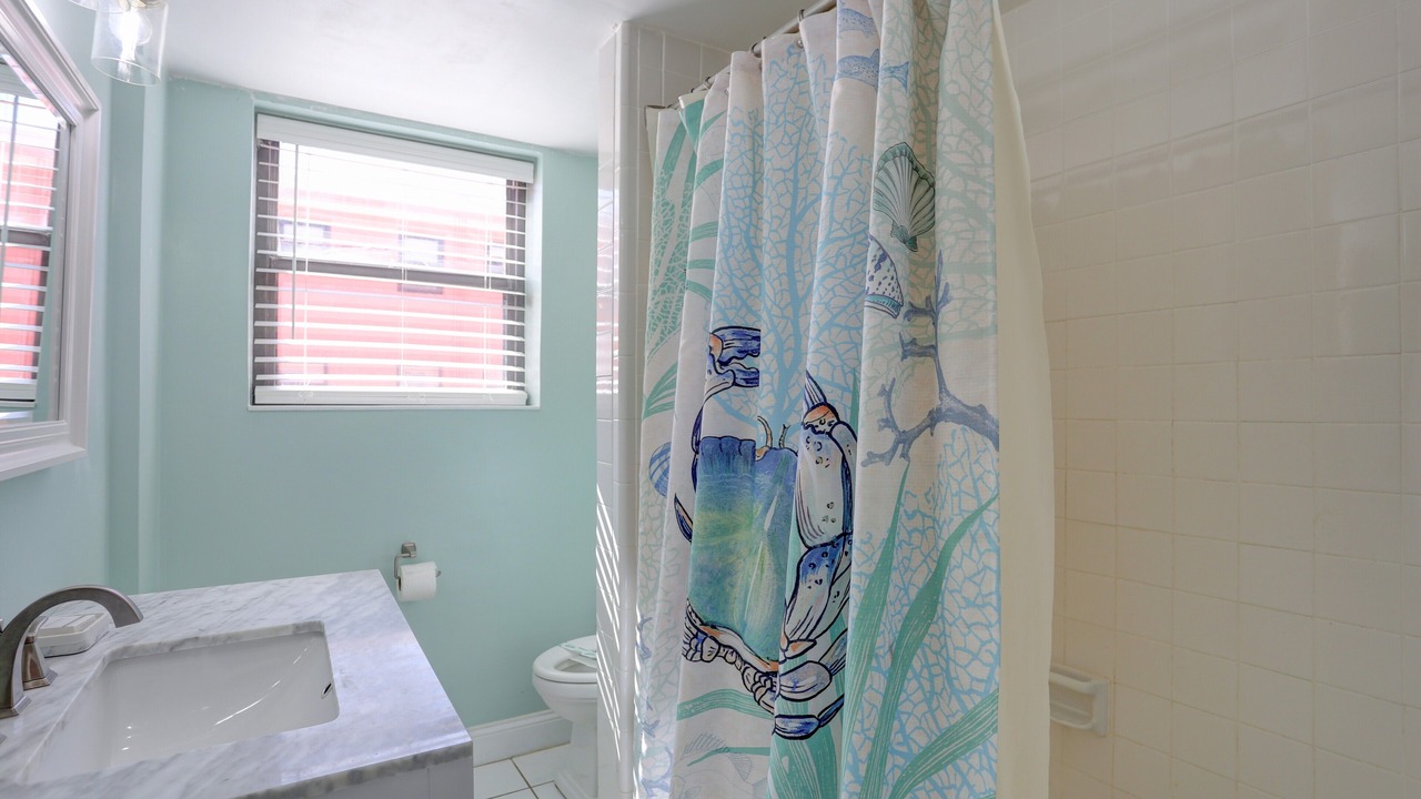 Photo of Bathroom in St. Pete Beach