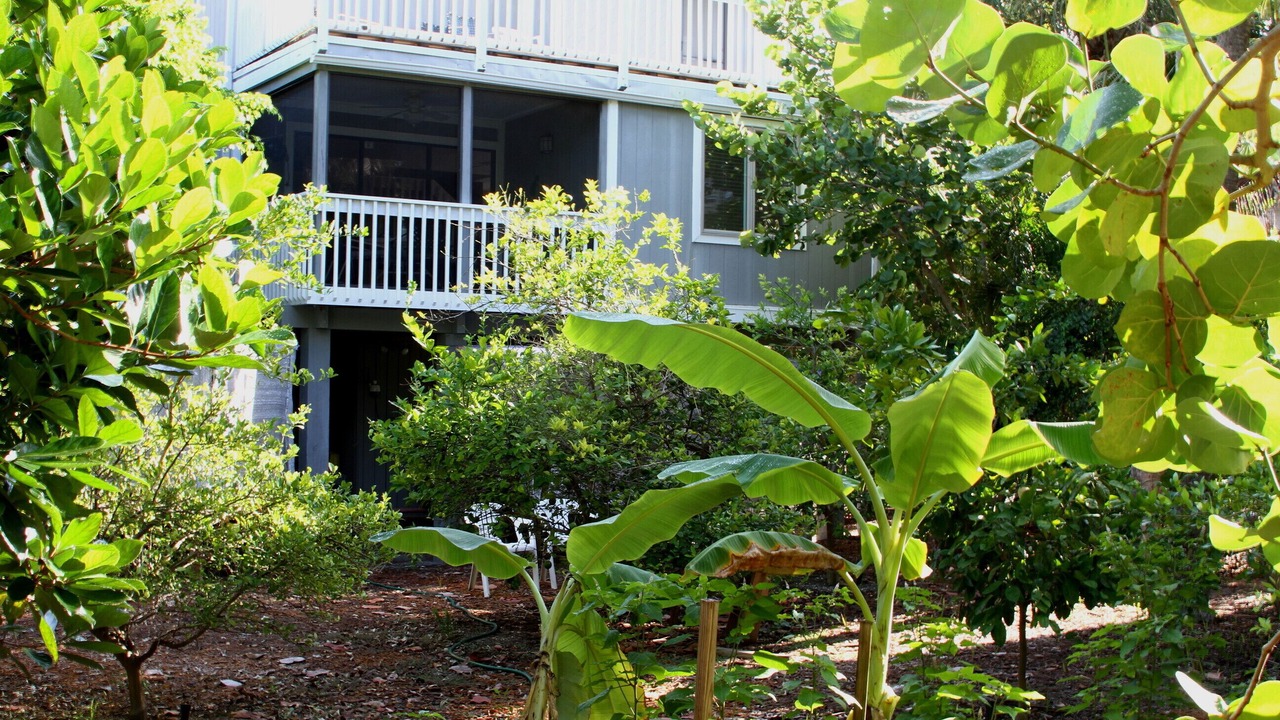 Photo of Outdoor in Captiva