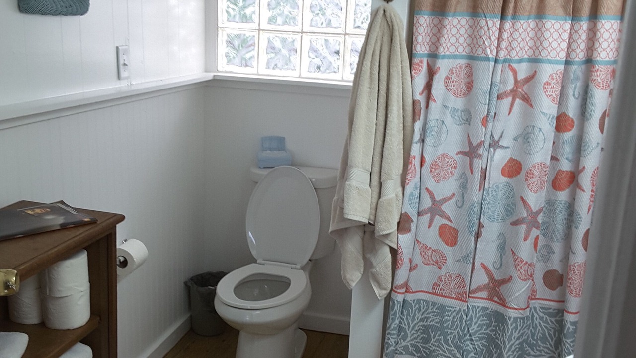 Photo of Bathroom in South Waterfront Park