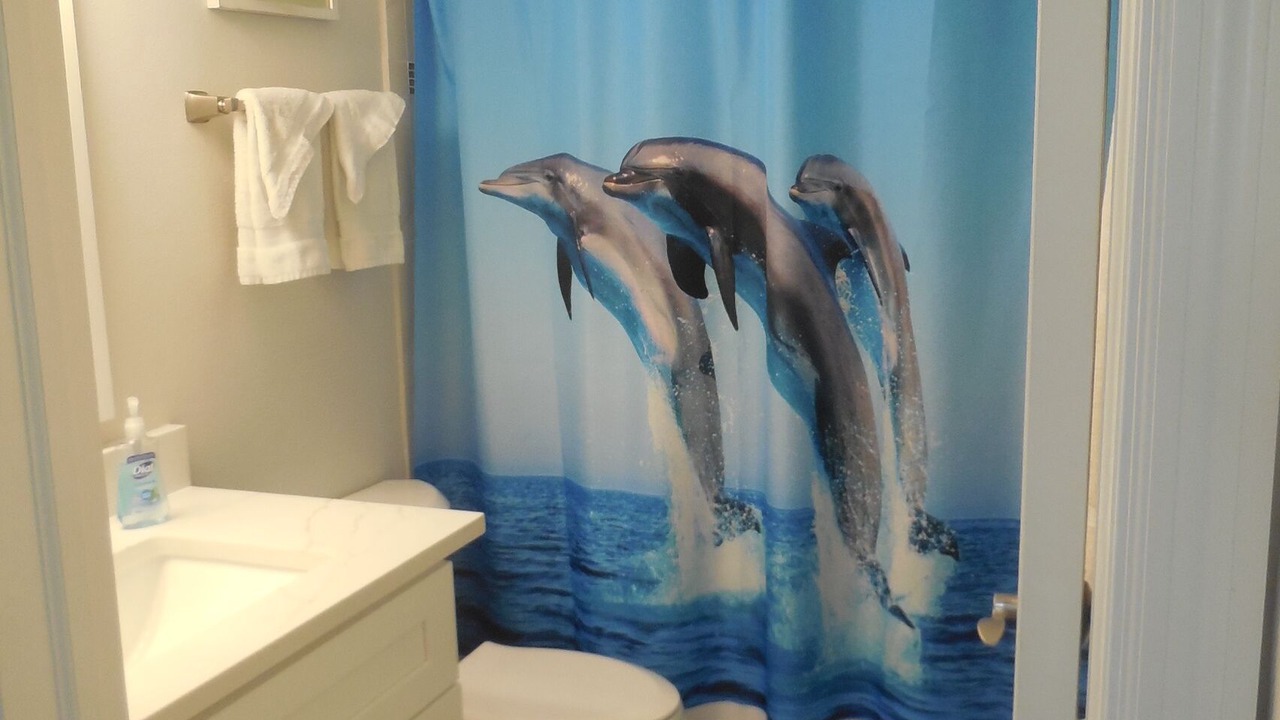 Photo of Bathroom in Siesta Key