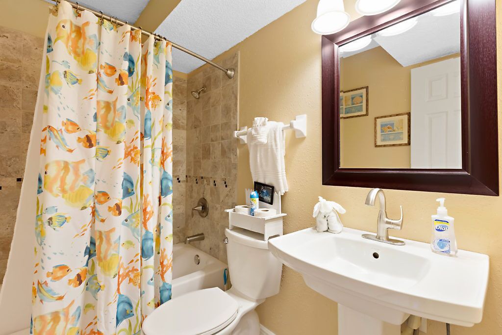 Photo of Bathroom in Dunedin