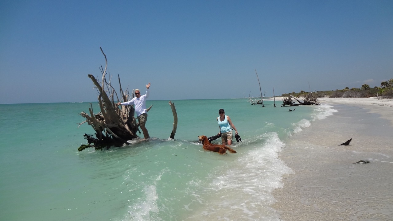 Photo of Others in Bokeelia