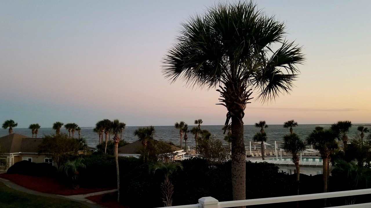 Photo of Outdoor in Seabrook Island