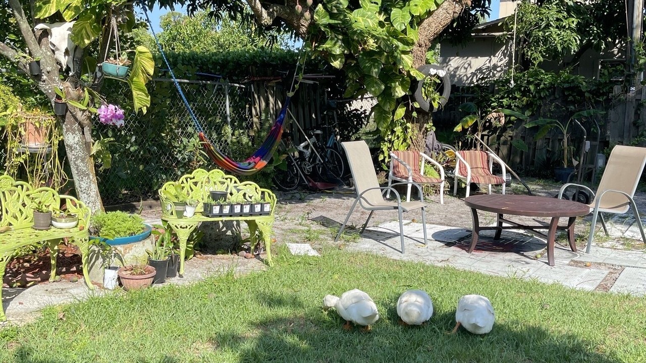 Photo of Outdoor in Naples