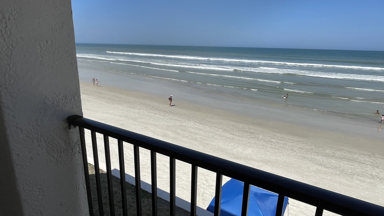 Photo of Others in New Smyrna Beach