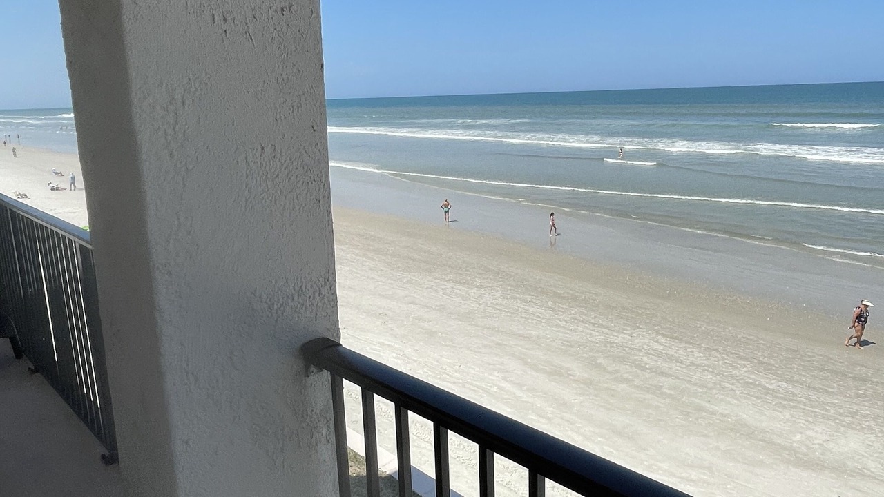 Photo of Others in New Smyrna Beach