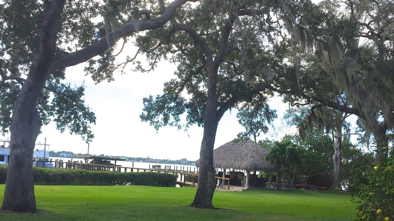 Photo of Others in Palmetto