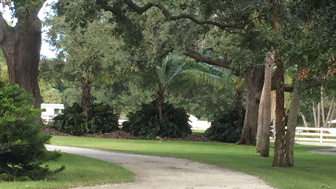 Photo of Others in Palmetto