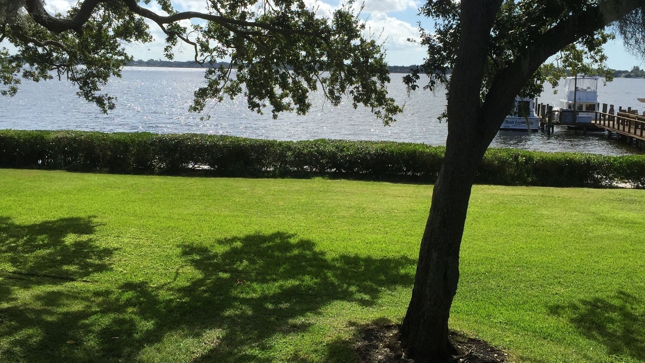 Photo of Others in Palmetto