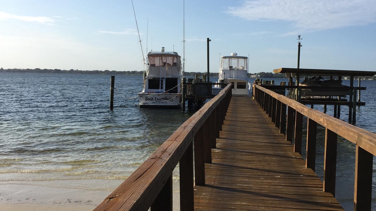 Photo of Outdoor in Palmetto