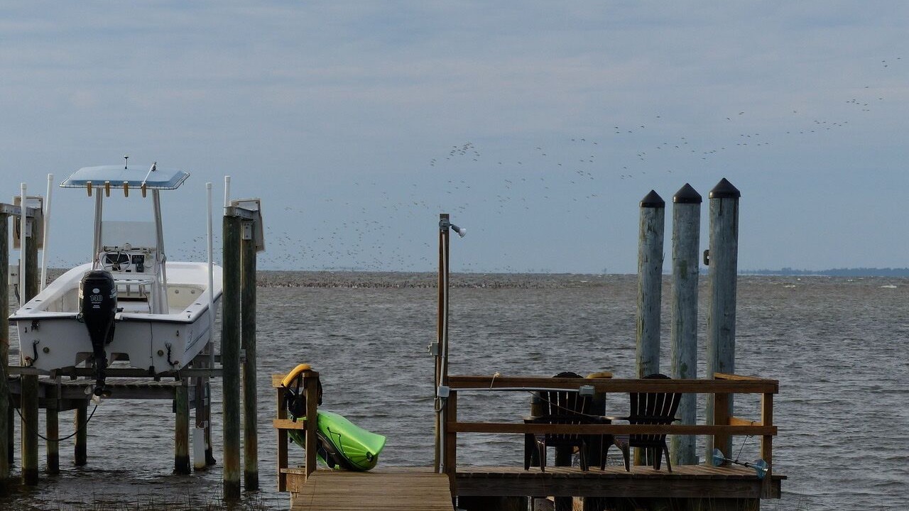 Photo of Others in Plantation