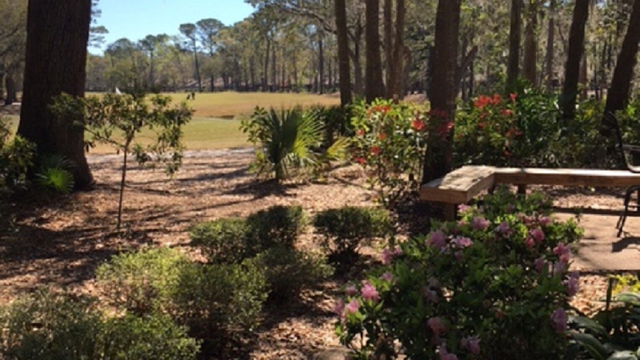 Photo of Outdoor in Moss Creek