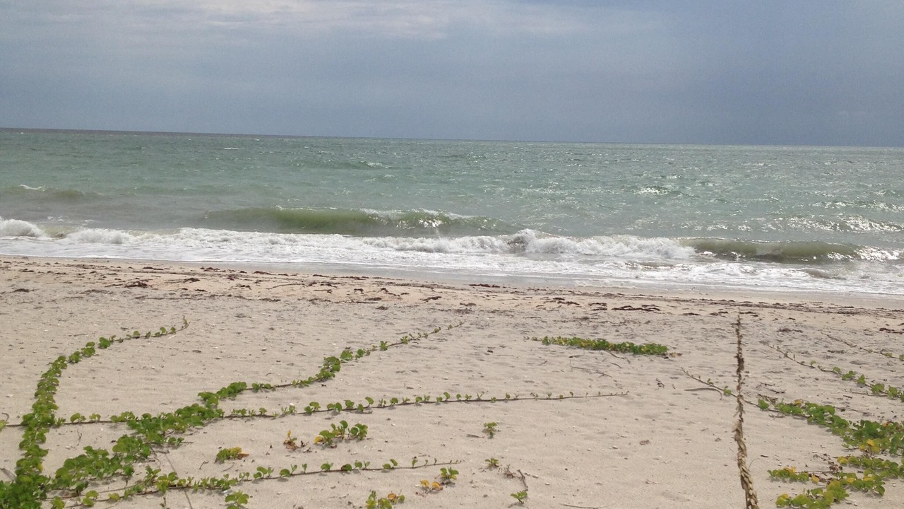 Photo of Others in Nokomis