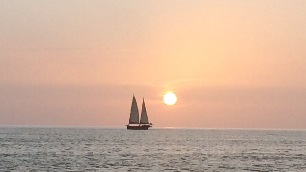 Photo of Others in Nokomis