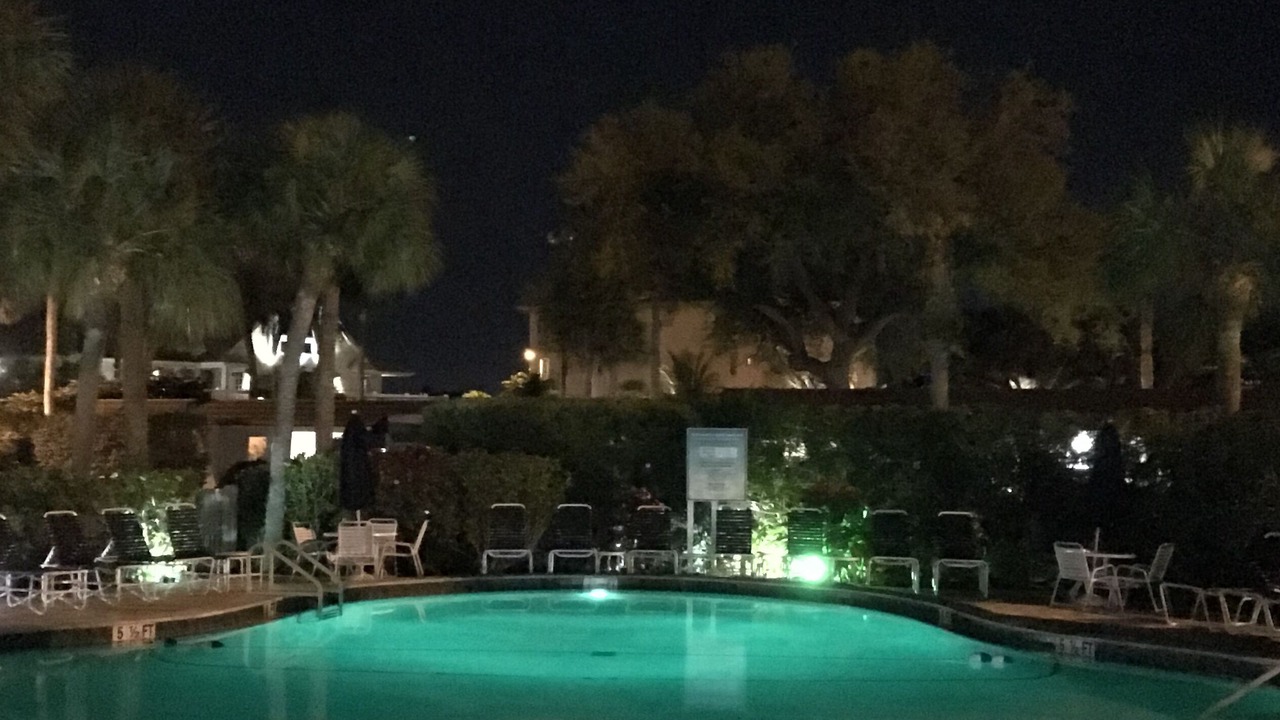 Photo of Outdoor in Siesta Key