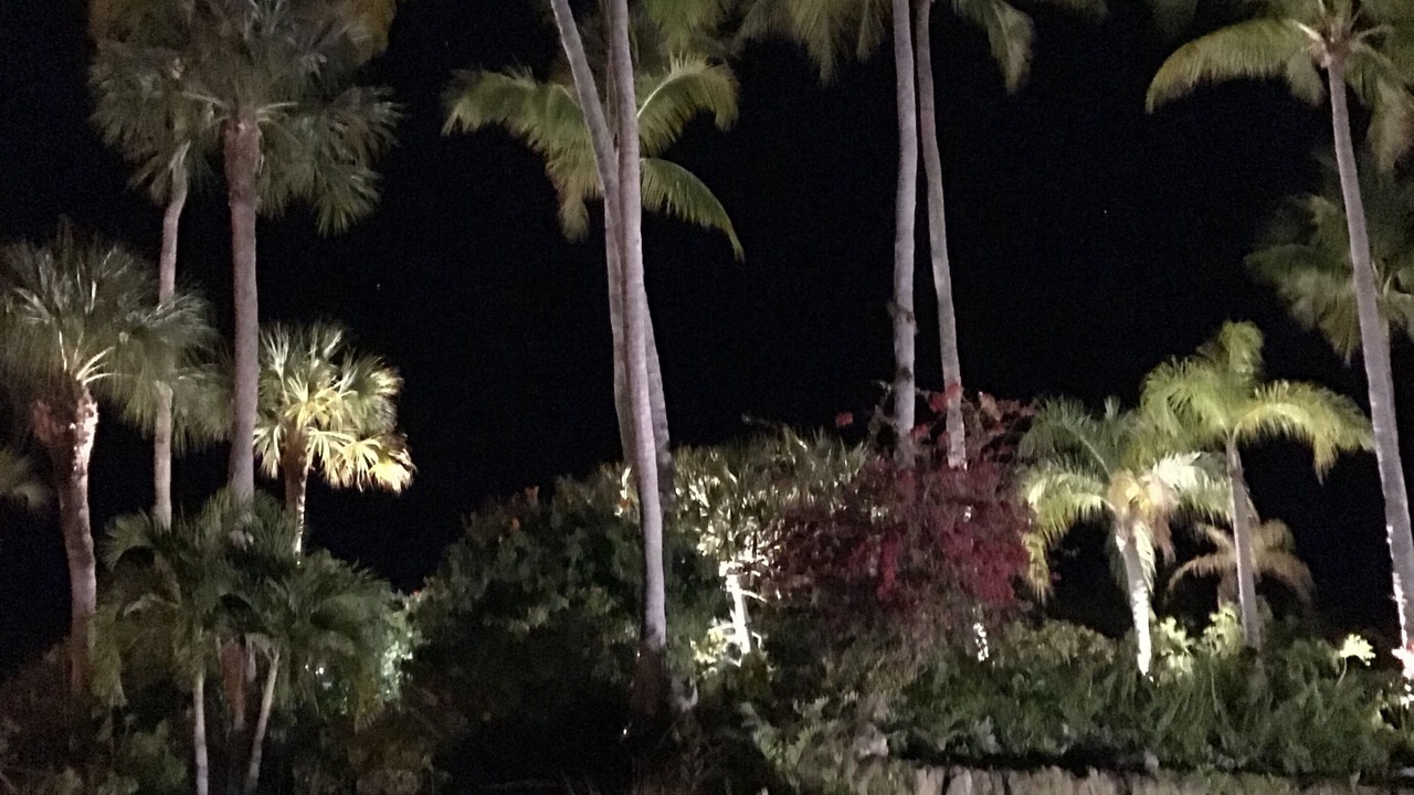 Photo of Outdoor in Siesta Key