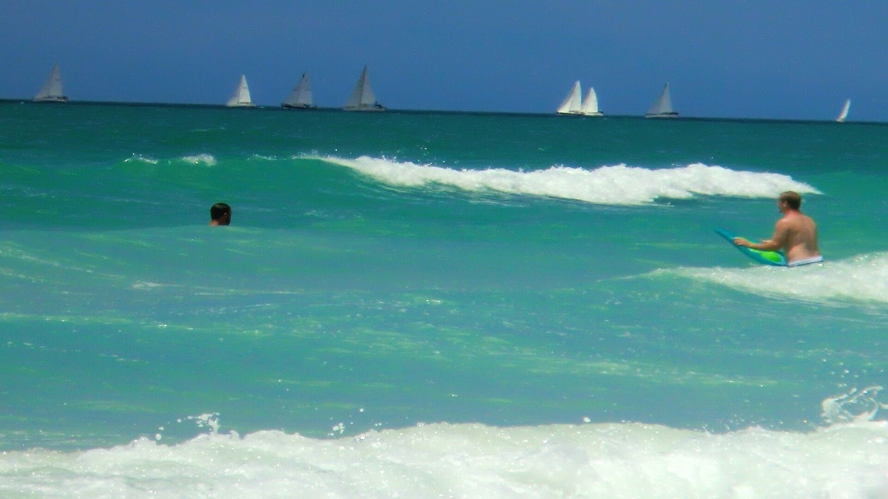 Photo of Others in Siesta Key