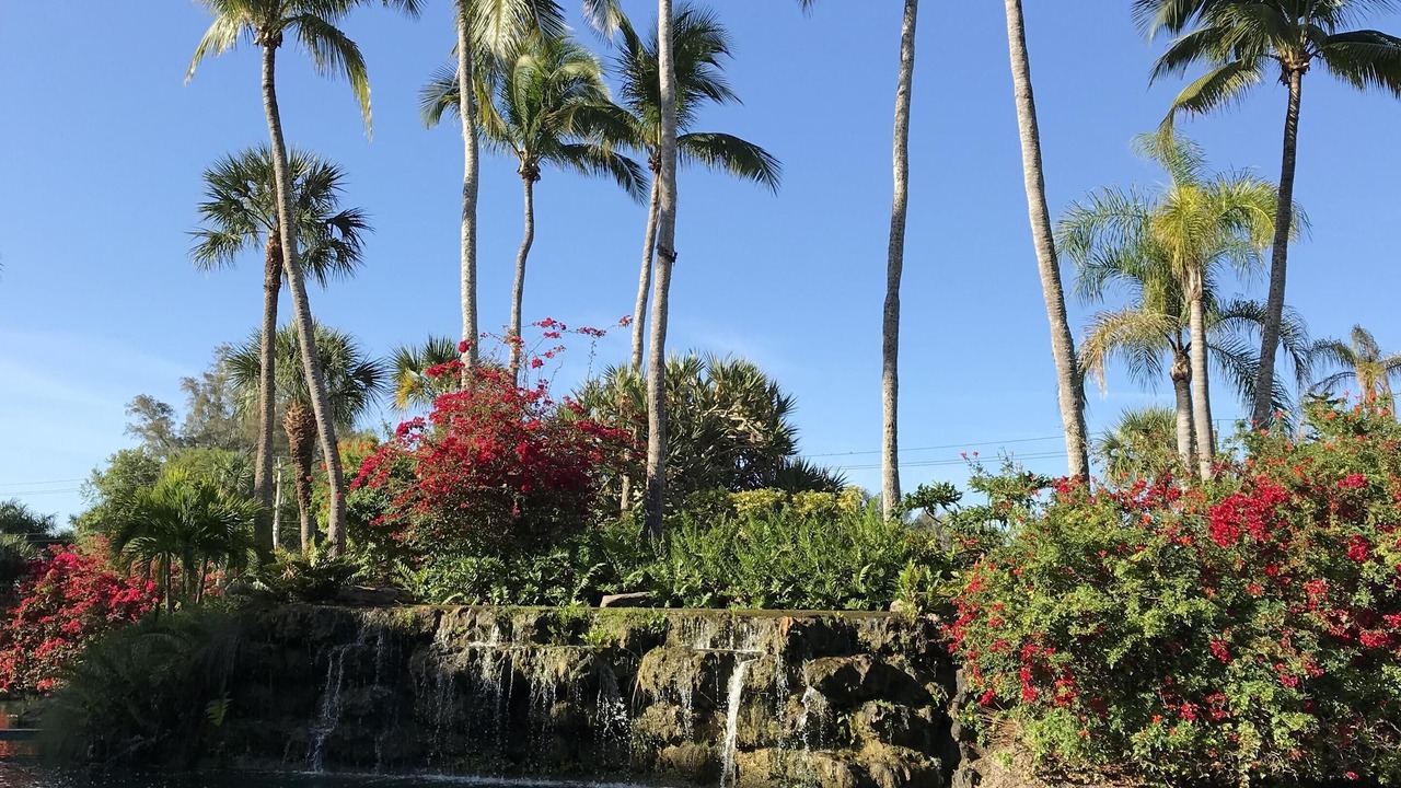 Photo of Outdoor in Siesta Key