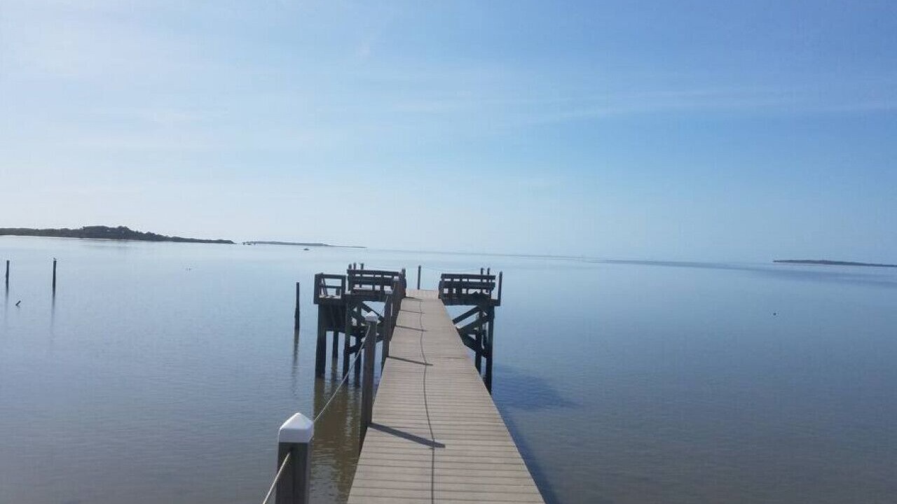 Photo of Others in Cedar Key