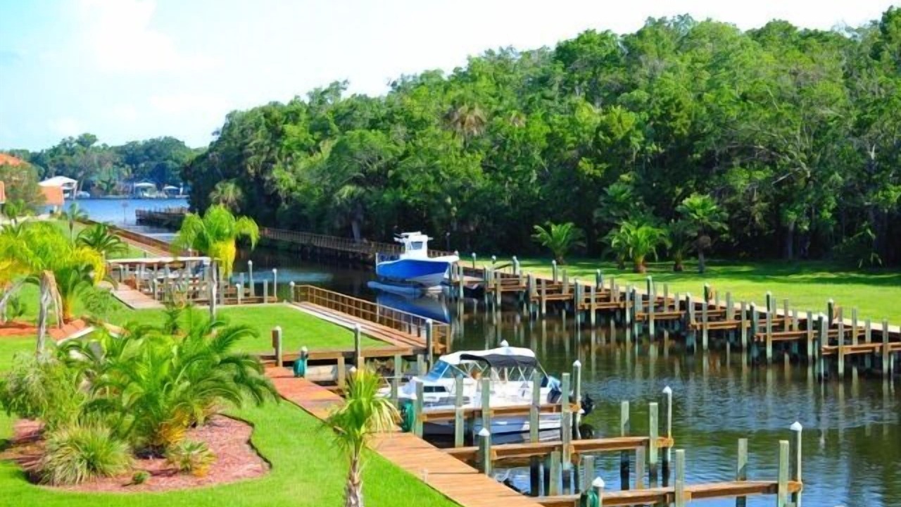 Photo of Others in Homosassa