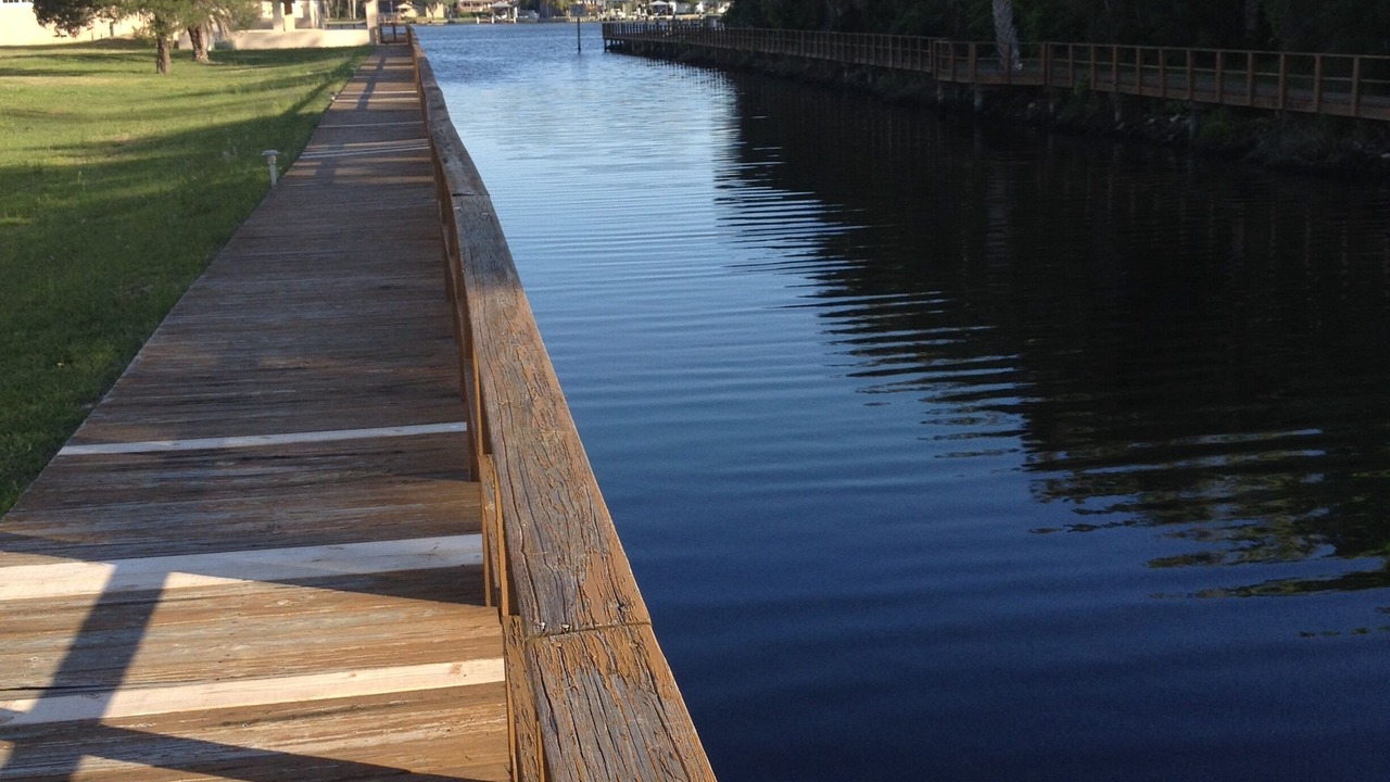 Photo of Others in Homosassa