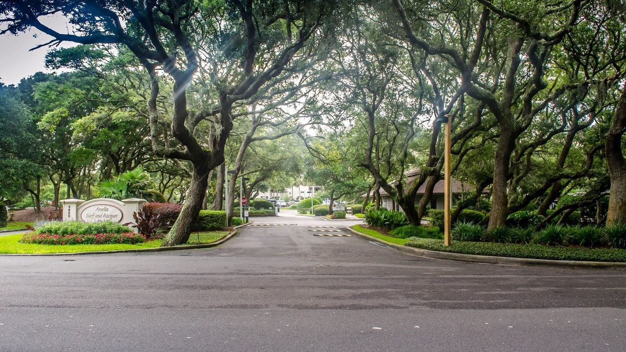 Photo of Others in Amelia City
