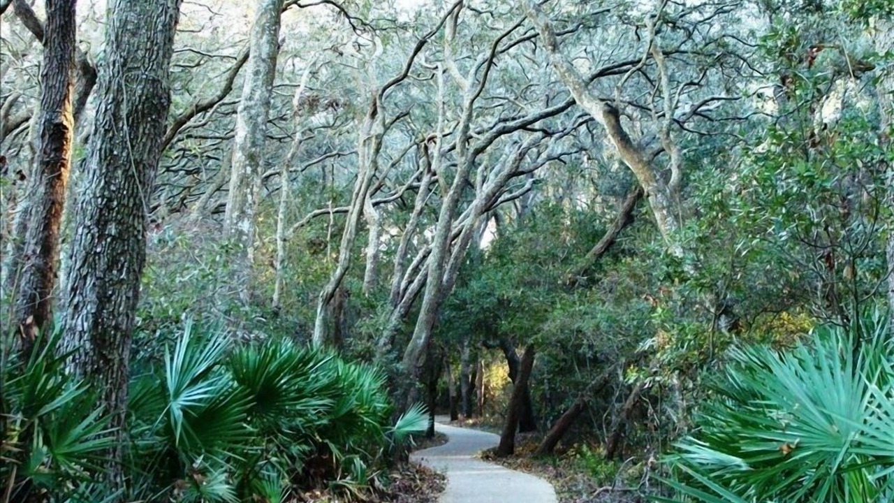 Photo of Others in Amelia City