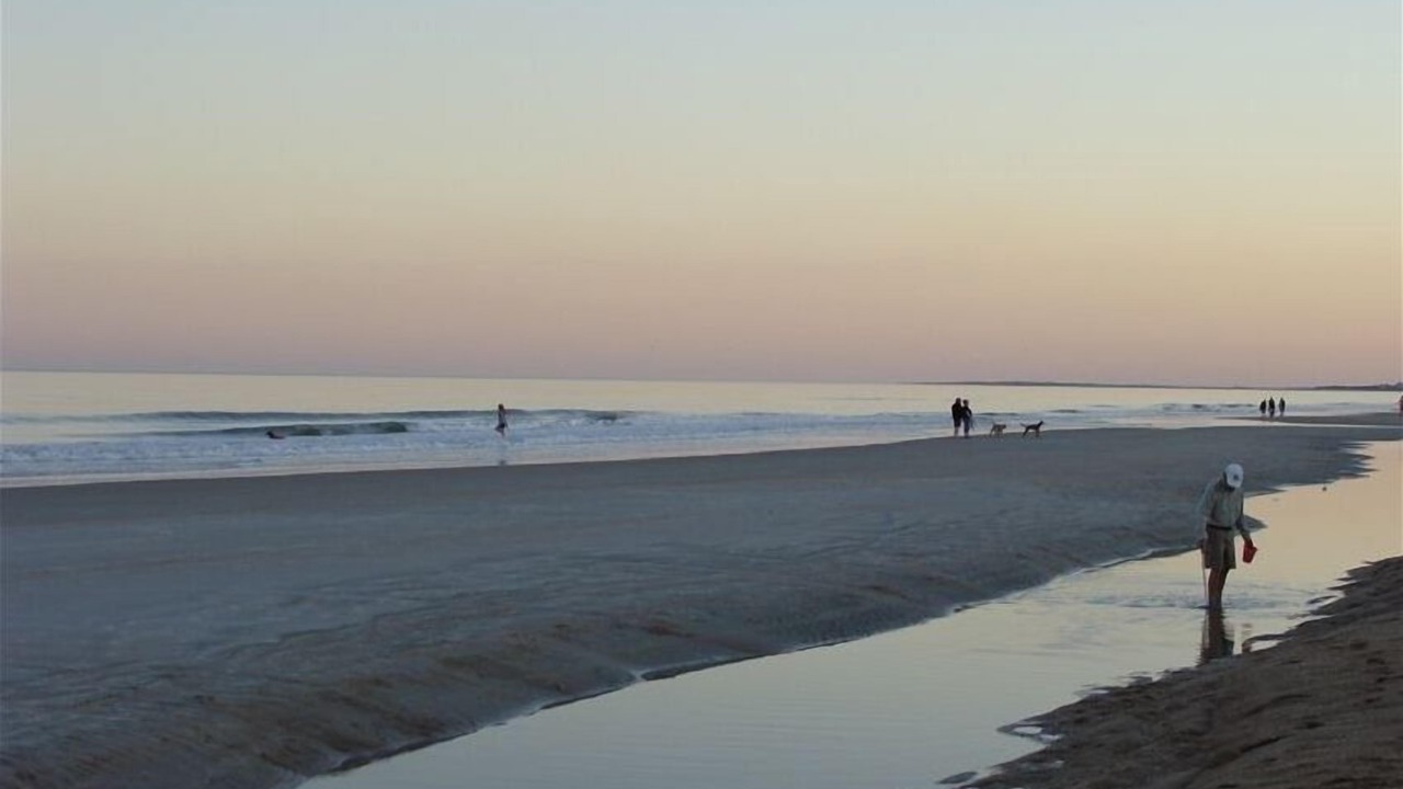 Photo of Others in Amelia City