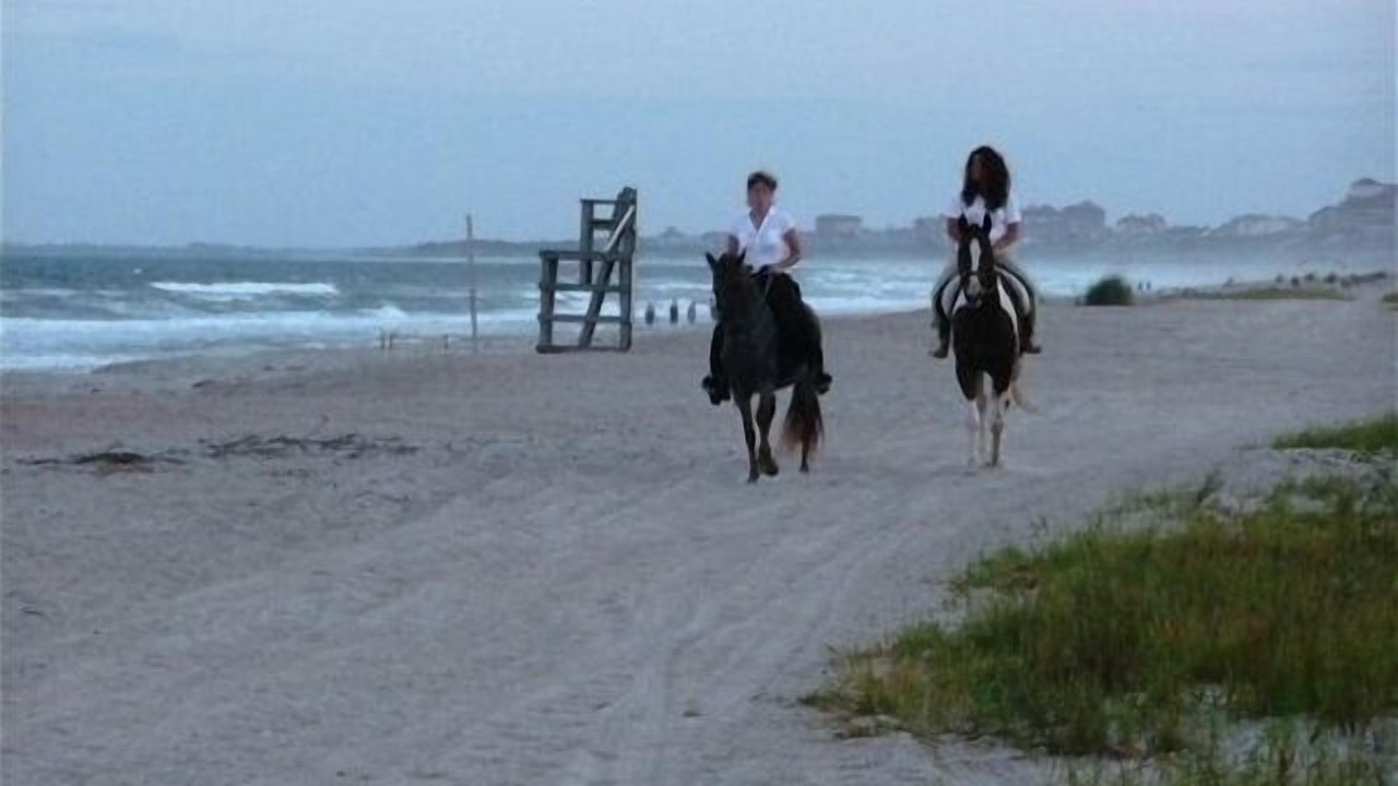 Photo of Others in Amelia City