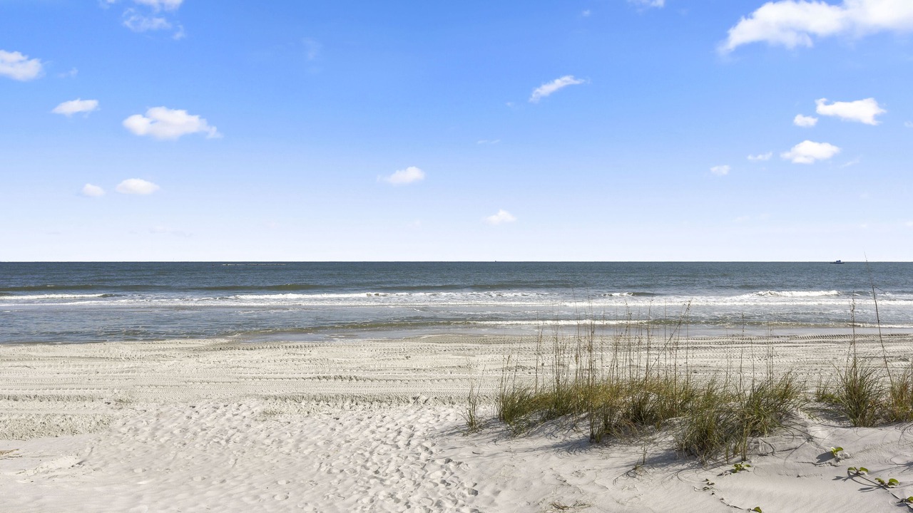 Photo of Others in Amelia City