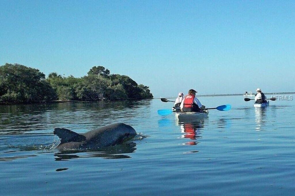 Photo of Outdoor in Gulf Harbors