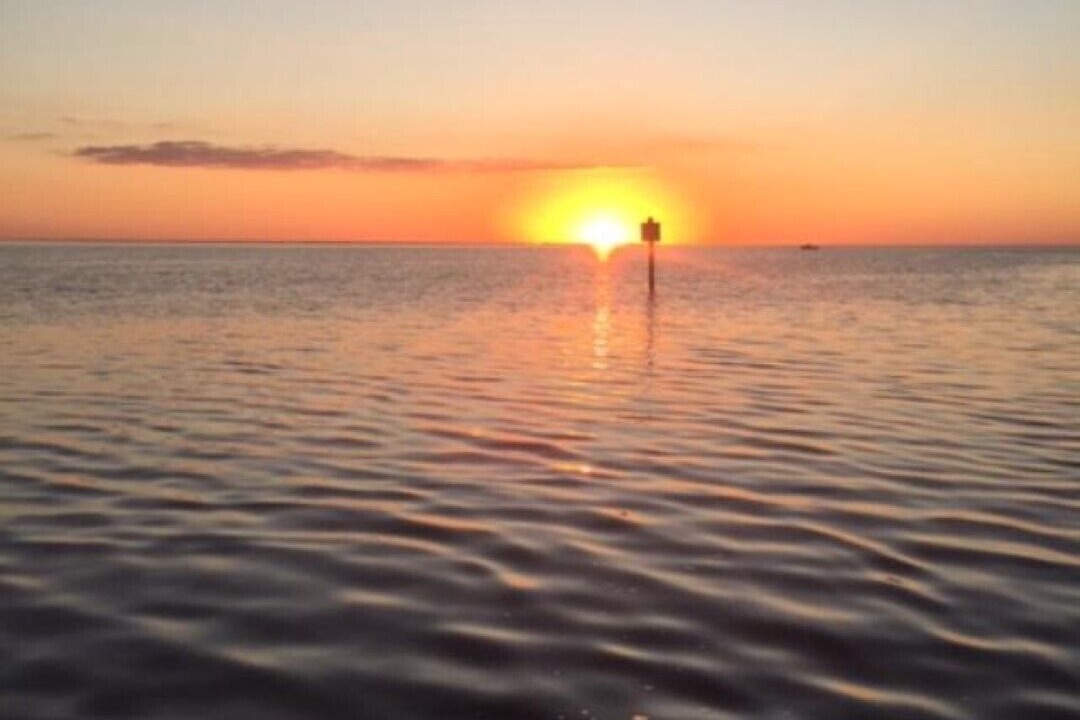 Photo of Others in Gulf Harbors