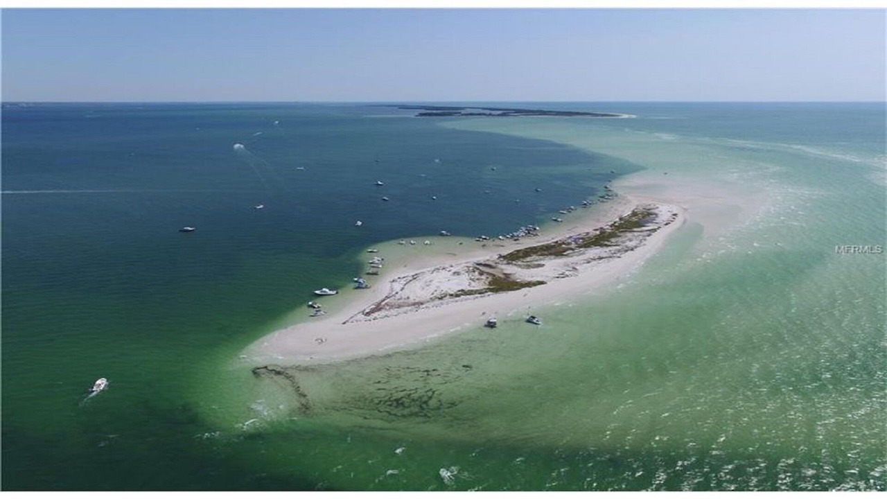 Photo of Others in Gulf Harbors