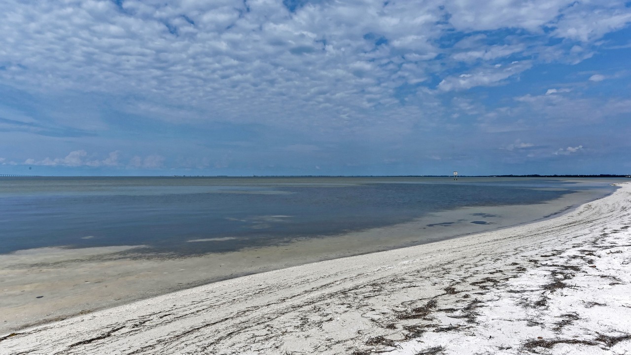 Photo of Others in Anna Maria