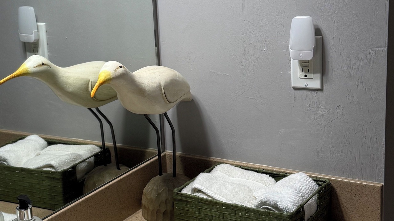 Photo of Bathroom in Suwannee