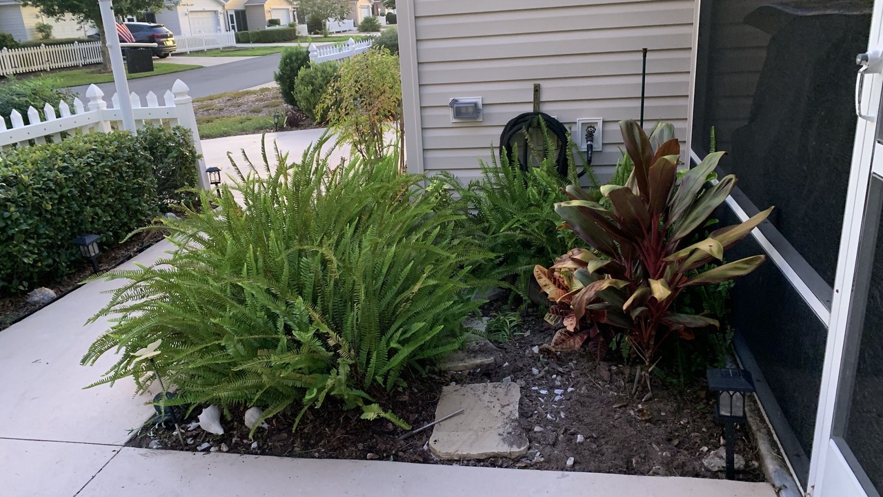 Photo of Outdoor in Belvedere