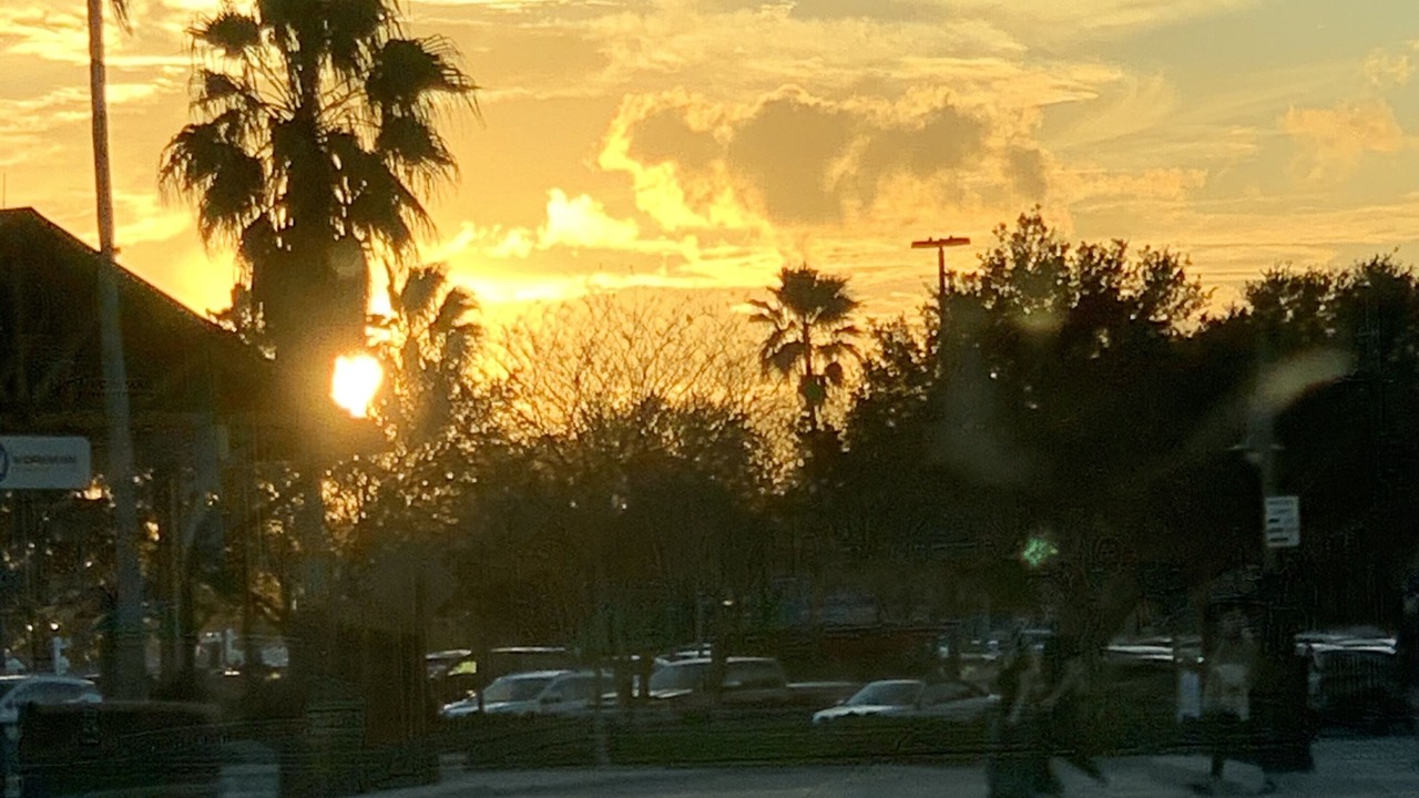 Photo of Outdoor in Belvedere