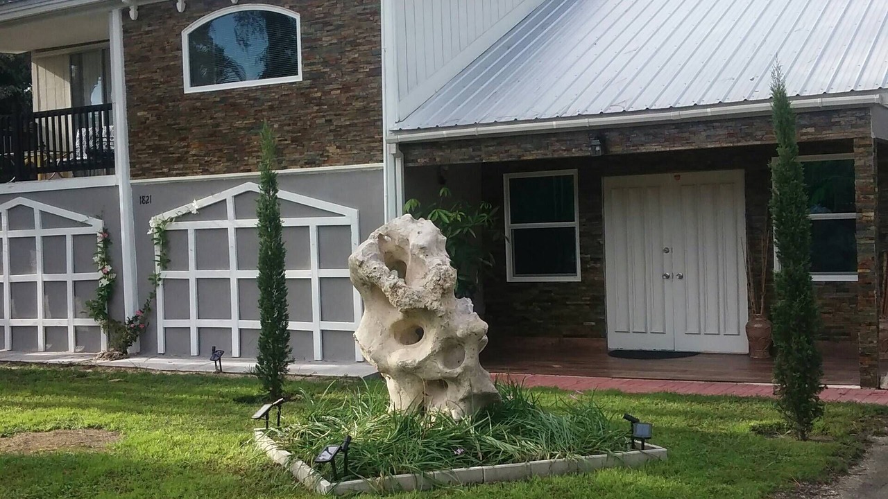 Photo of Outdoor in Vamo