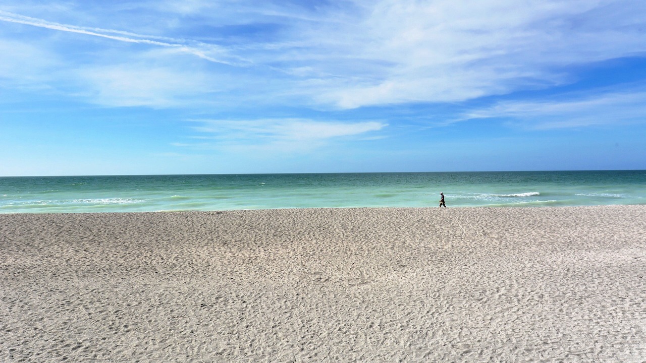 Photo of Others in Siesta Key