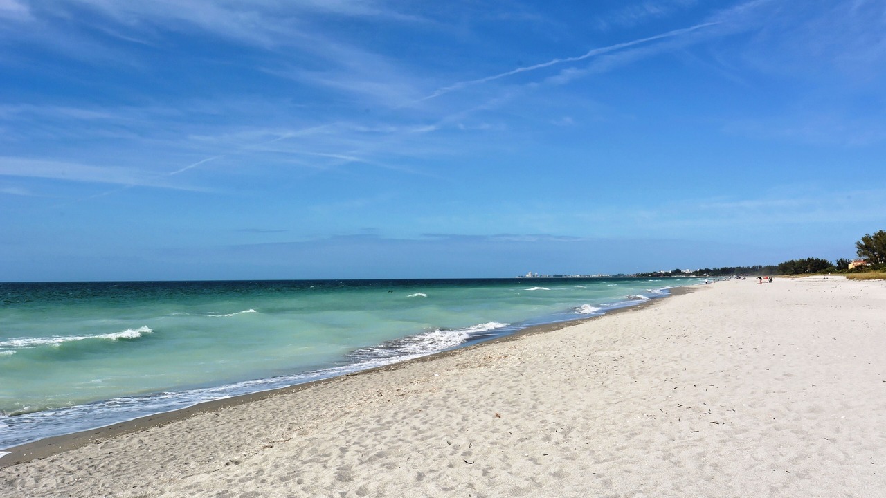 Photo of Others in Siesta Key