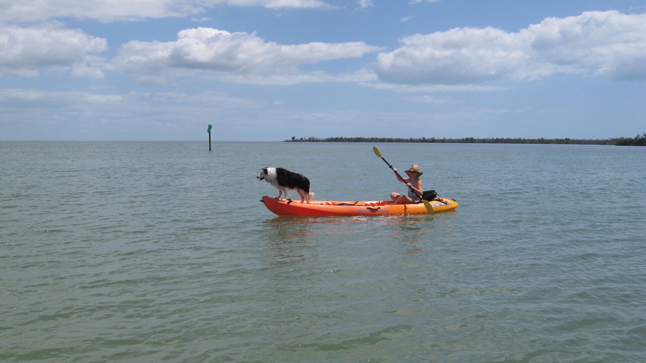 Photo of Others in North Captiva