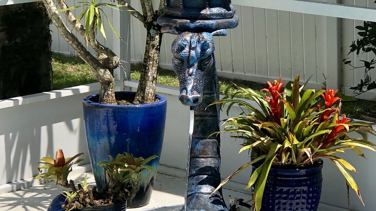 Photo of Outdoor in Marineland Acres