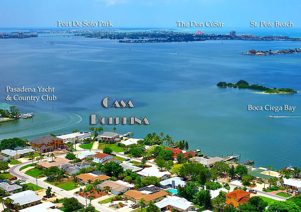 Photo of Others in St. Petersburg - Clearwater