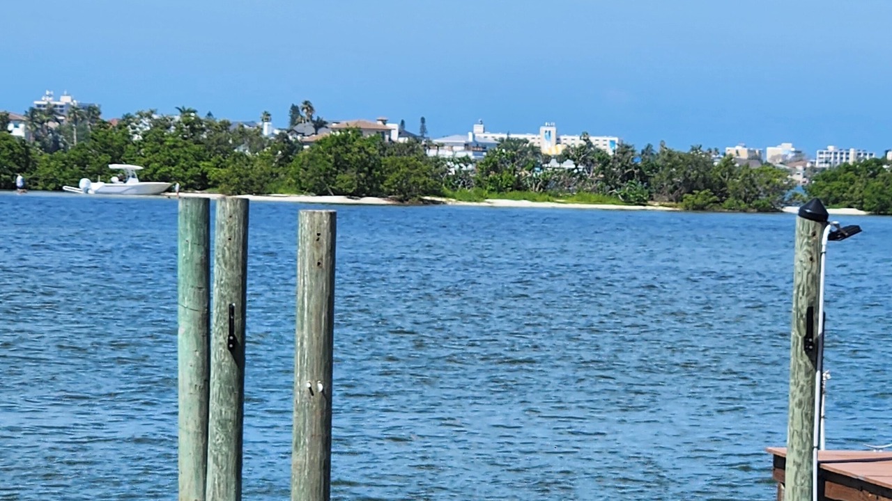 Photo of Others in St. Petersburg - Clearwater