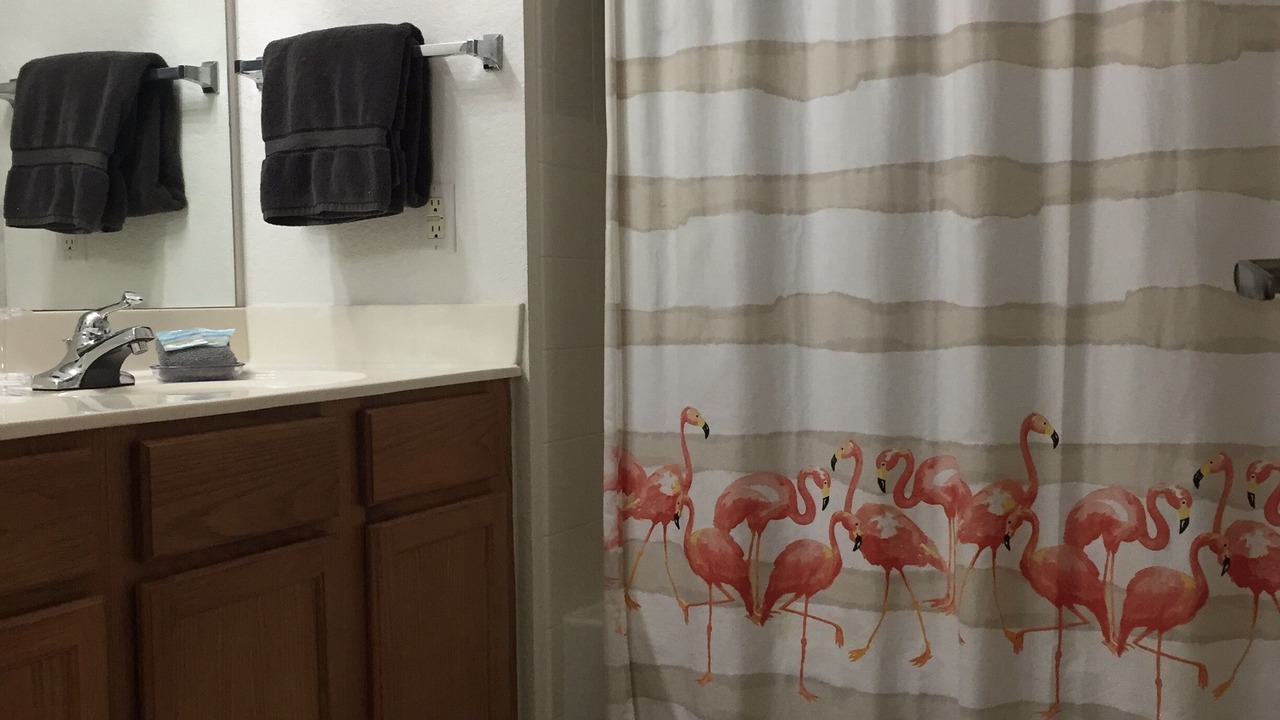 Photo of Bathroom in Venetian Bay Villages