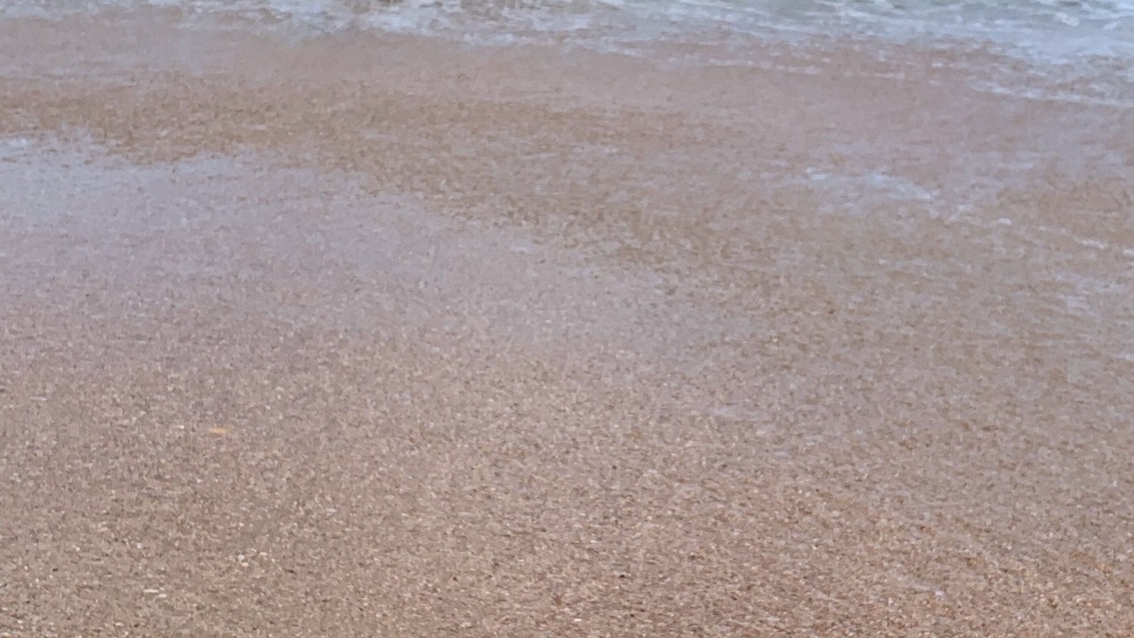 Photo of Others in Marineland Acres
