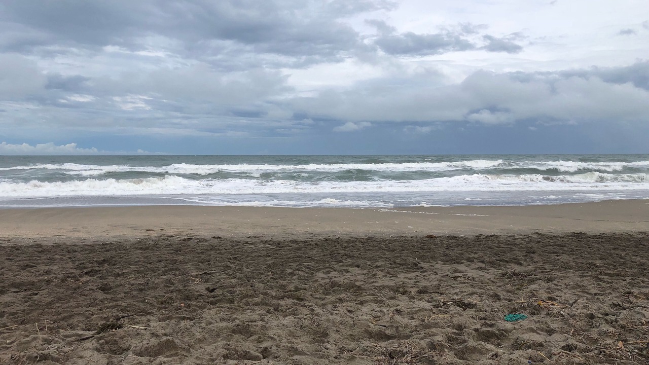 Photo of Others in Stuart